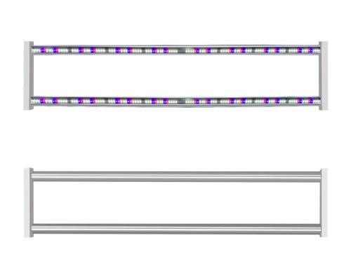 Cacti Under LED Grow Lights: PPFD, Winter Dormancy and CAM Photoperiod Scheduling