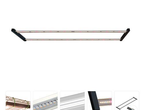 Lighting for Microgreens: PPFD, Photoperiod and Blackout Timing for Dense, Non-Leggy Trays