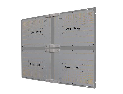 Closed-Loop PPFD and DLI Control for LED Grow Lights: Sensor Placement, Feedback Dimming and Photoperiod Ramping