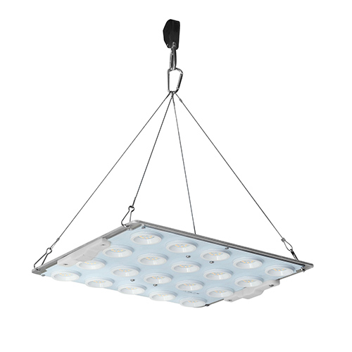 RX-G1000C 100 W square quantum module with a white face, round reflective-cup LED clusters and four corner hanging wires on a white background