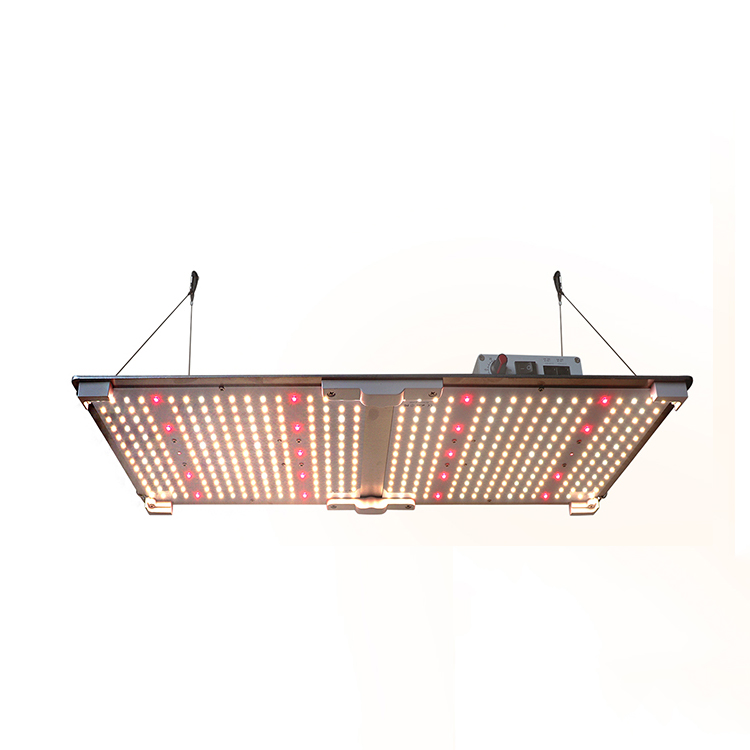 RX-G2000L 215 W two-panel quantum board with a central silver support ridge, four corner hanging wires and a top control box on a white background