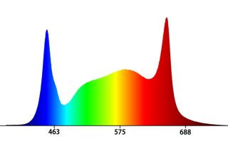 Koray G80-G24B spectrum chart showing full-spectrum PAR output
