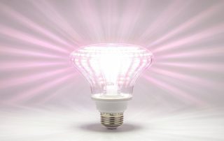 What Is the Lumen Output of the RX-PAR38 LED Grow Light?
