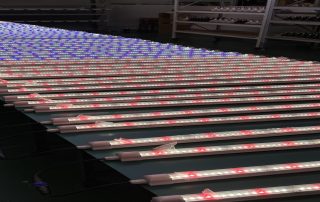 Koray PT8 LED grow tube compared to T8 fluorescent tube