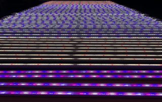 Koray PT8 F175 LED grow tube lumen output