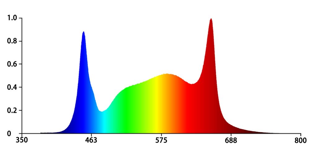 G80 1000W G24B full spectrum chart Koray Lighting