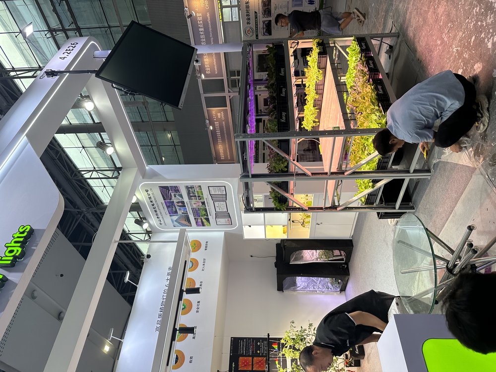 Koray Lighting commercial grow light installation