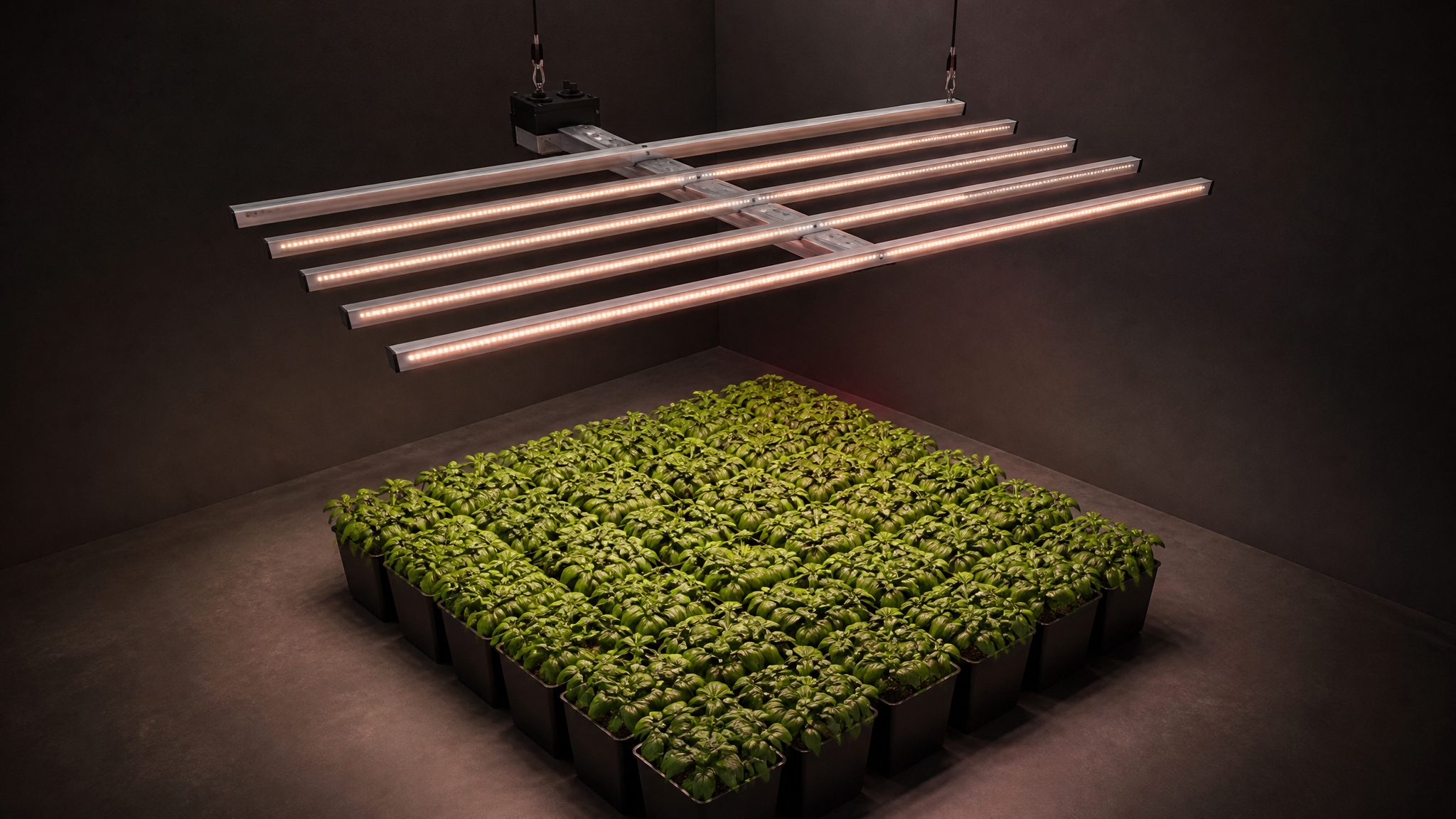 RX-GKC650 large near-square panel suspended by rope ratchet over a 4 x 4 ft ground-level growing area of broad-leaf medicinal herbs in a dark room with no reflective surfaces