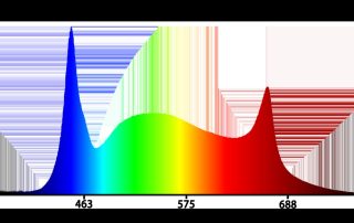RX-PAR38 grow light spectrum chart showing full PAR output