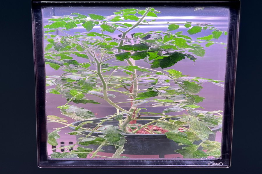 Koray Lighting climate chamber test facility where LED grow lights including GE35 series undergo rigorous performance testing