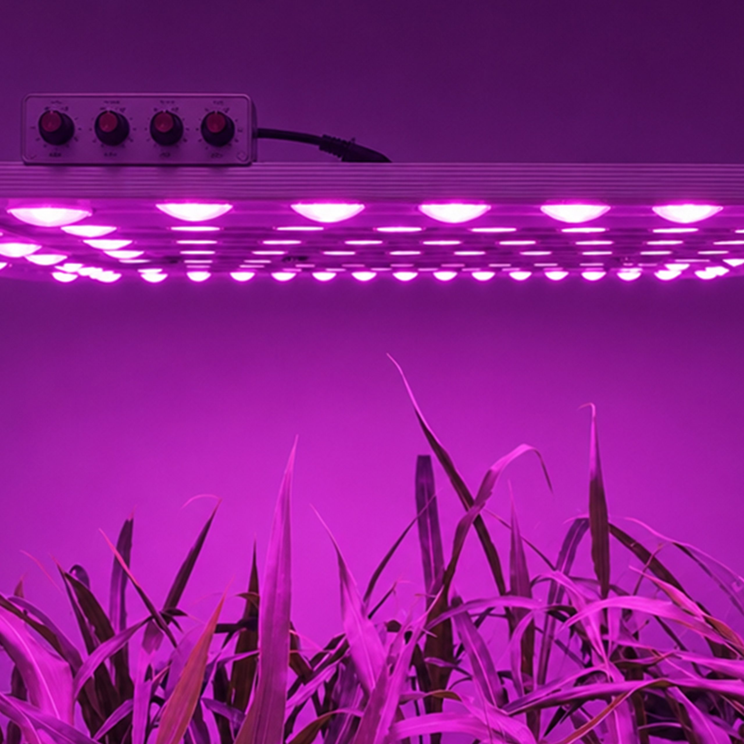 G80-4H-1000W 4-Channel Adjustable Spectrum LED Grow Light for Research & Controlled-Environment Cultivation - Image 7