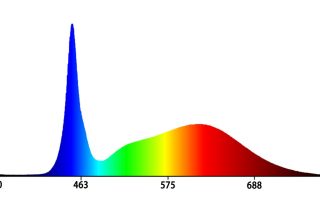 Koray K6 spectrum for variegated succulent light requirements