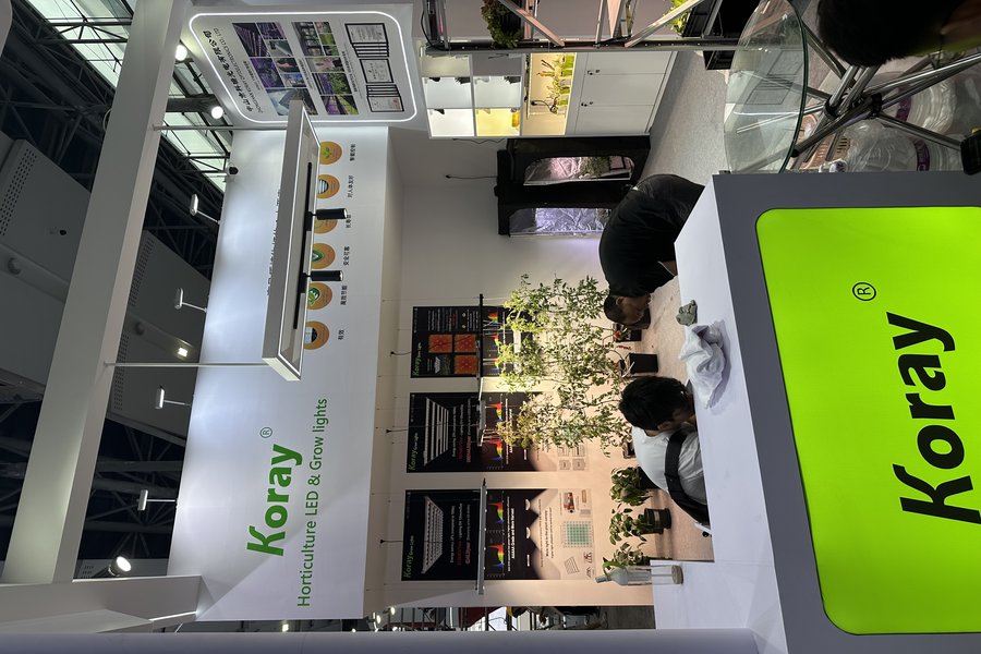 S91 warm full-spectrum light distribution chart from Koray Lighting showing wavelength output ideal for indoor succulent cultivation