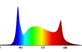 Koray S91 spectrum for succulent shelf grow light setup