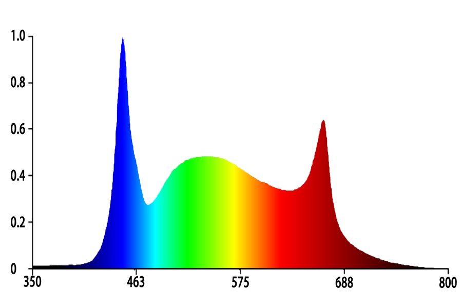 Koray K6 spectrum chart showing optimal wavelengths for succulent and ornamental plant growth