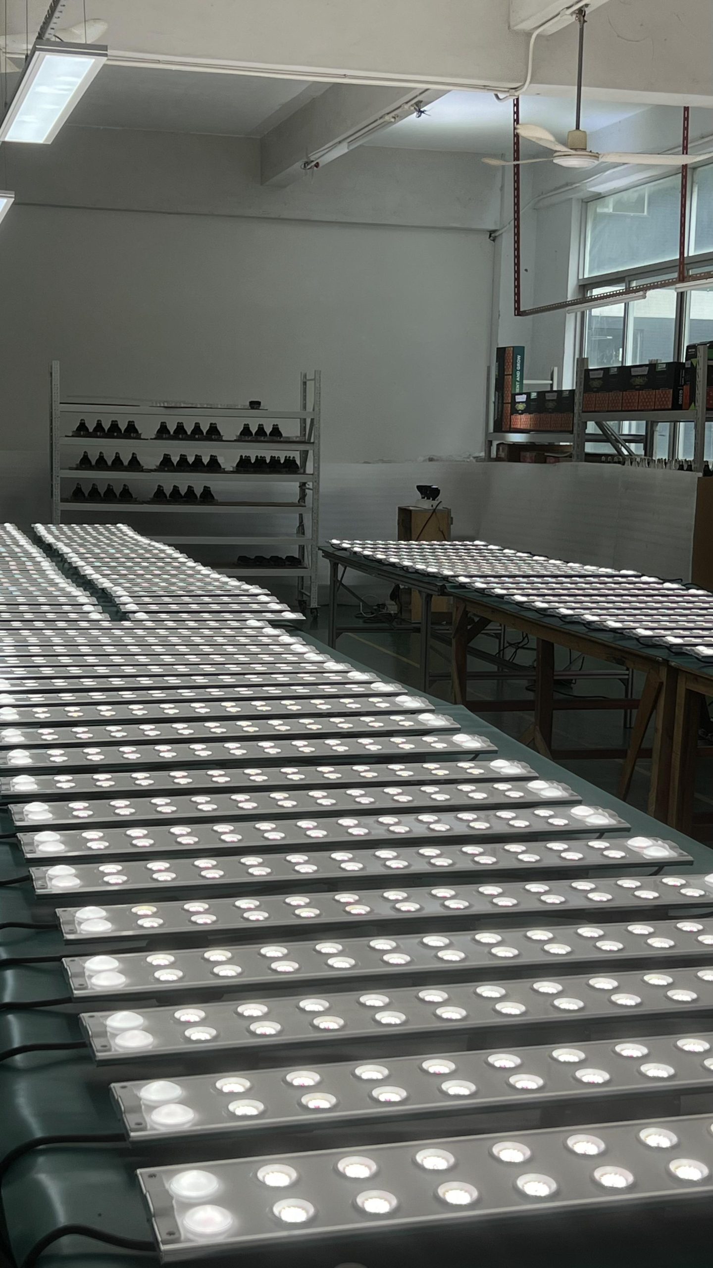 G138 series bar lights with full-spectrum options for commercial succulent cultivation