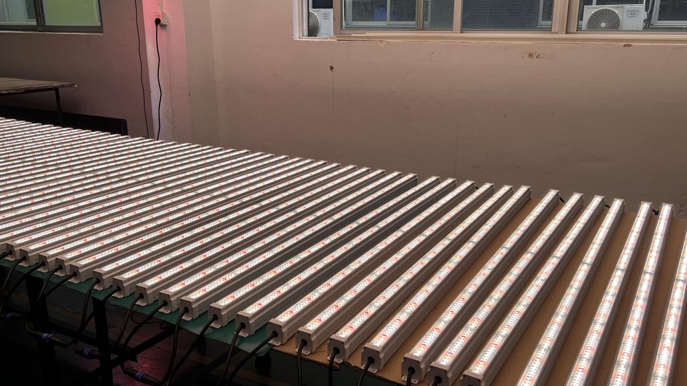 Koray GE35 grow light bars installed on succulent growing shelves