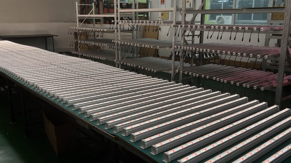 Koray GE35 LED grow light module for Echeveria cultivation