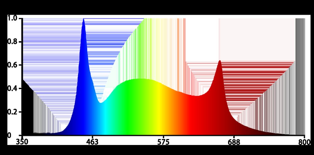 S91 spectrum chart for succulent grow lights - Koray Lighting