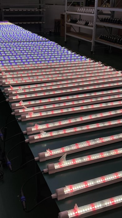 Koray PT8 LED grow light tube ideal for strawberry seedling propagation